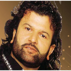 Sassiye Ni Tere Punnan Nu - Hans Raj Hans
