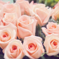 Hey There Delilah Cover (Plain White T)