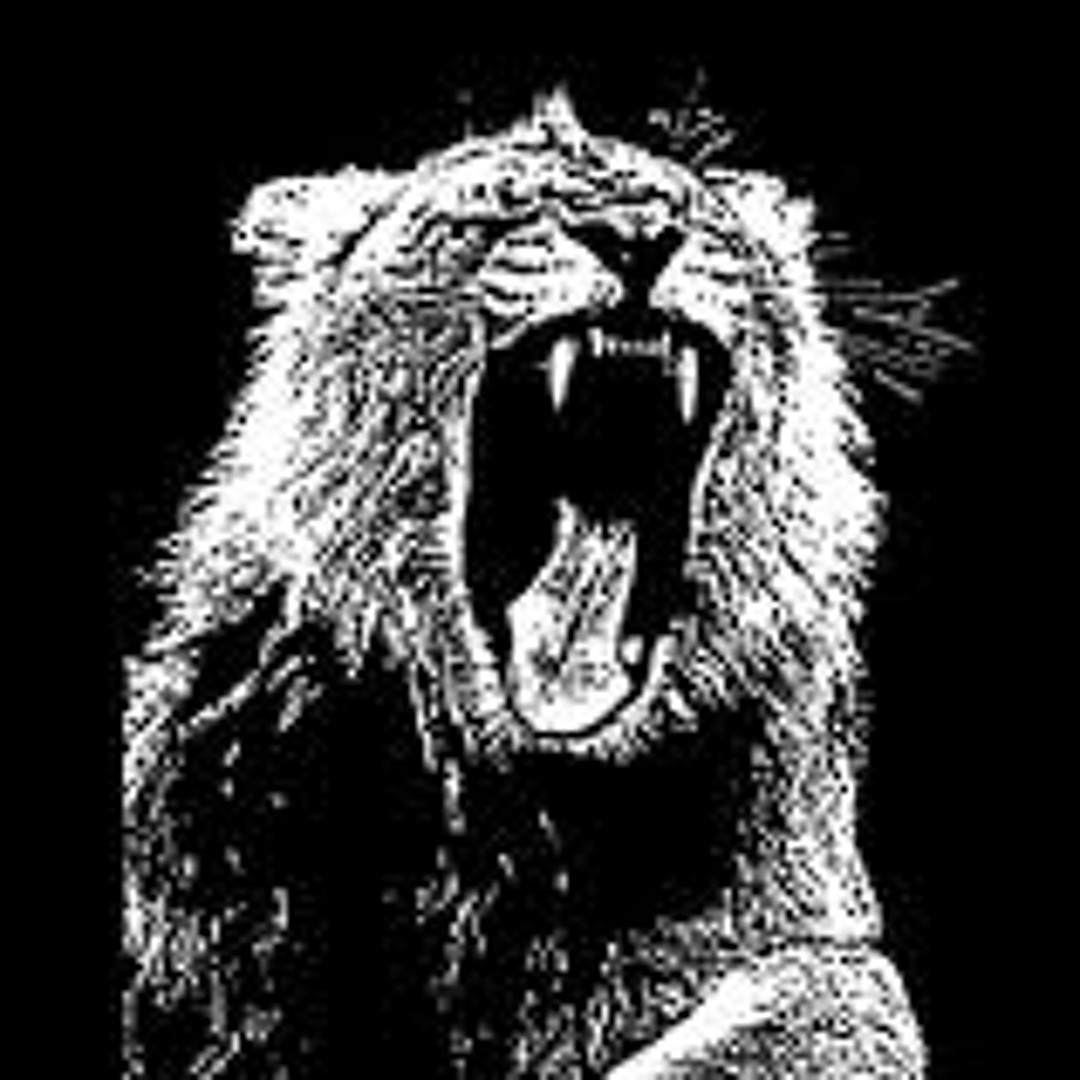 Listen to Martin Garrix - Animals (Will Sparks Remix) FREE DOWNLOAD by Will  Sparks in EDM playlist online for free on SoundCloud, image size:1080x1080