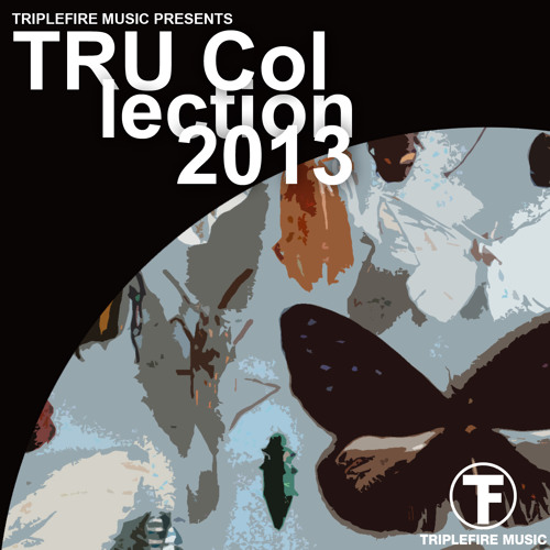 TFMD039 - Costa Ludick - Jupiter Sundown (Underground Vocal Mix) [Triplefire Music]