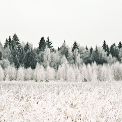 Homage To Reich_Six Marimbas