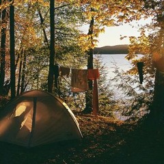 TheNewWine- Sauvignon Sunrise ($40)