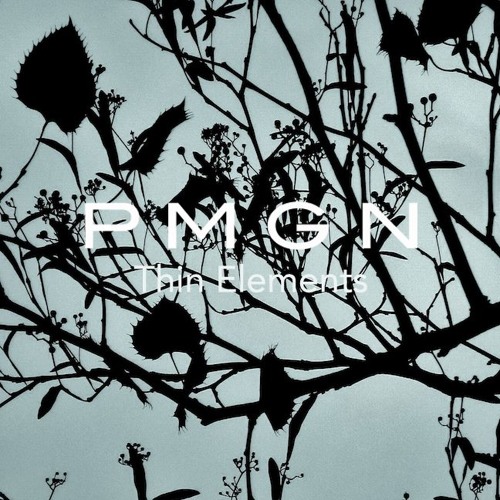 Thin Elements (Anton Oak Remix)