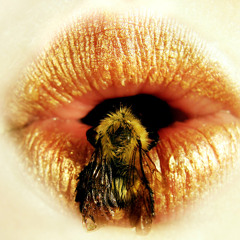 Feist - Honey Honey (Caval Remix 2014)