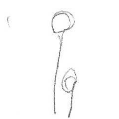 Il !i ＿ ￣ (D ) i !!