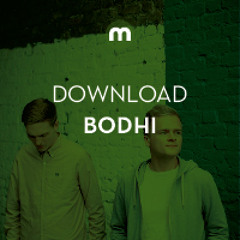 Download: Bodhi 'Entropy'
