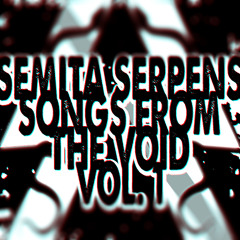 SONGS FROM THE VOID Vol.1