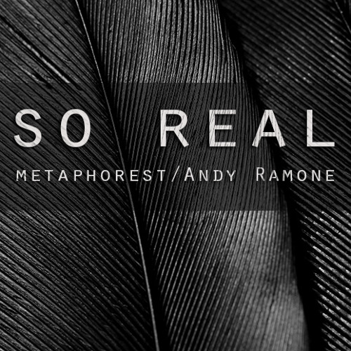 So Real (W/Andy Ramone)