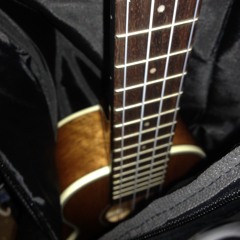 Ill come running back to you -Sam Cooke Ukele Cover