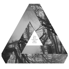 Ihre Rufe scheinen immer ferner