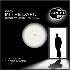 Lucas - In The Dark - TDDR042 - Top Drawer Digital
