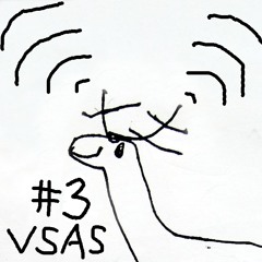 Voll Schön auf Sendung mit Lina  [VSAS003]