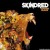 Artwork for SKINDRED WARNING REMIX CLIP (KIERAN PEREZ)