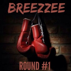 breezzee-Round1