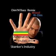 Akhenaton *** J'voulais dire*** ""Remix Reggae par Dim'N'Bass ** Wood Ri-Dim