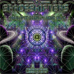 HOLOGRAPHIX, Wild melody _180BPM