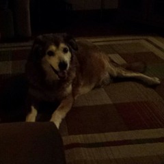 Couple couple couple  at A couple