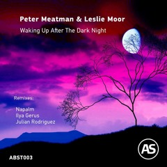 Peter Meatman & Leslie Moor - Waking Up After The Dark Night (Original Mix) - Abstract Space Records