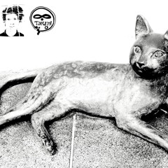 Johnny_Ripper - Cat Soup (Tomjuno Mix)