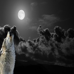 Curse The Moon     ©  UKSC Semi-finalist 2014