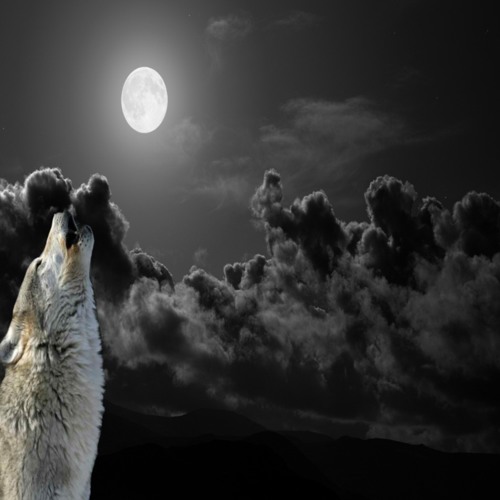 Curse The Moon     ©  UKSC Semi-finalist 2014