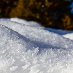 Winter's End [Take One]