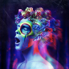 INDIE HOUSE 06