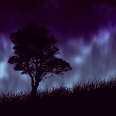 The unknown