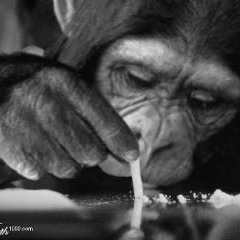 J&B Project - special K - snipp