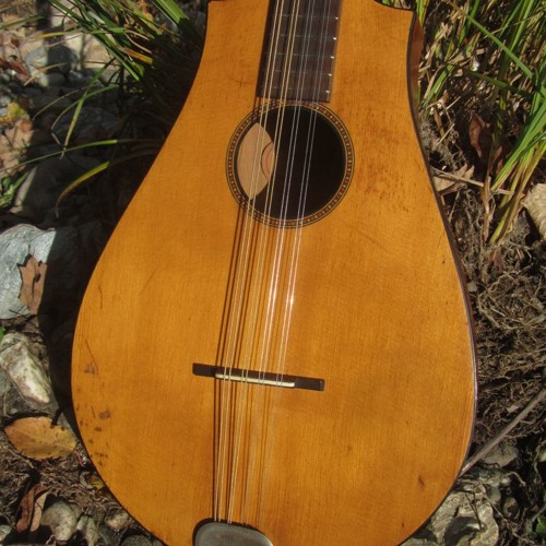 Stream 1930s Regal Octofone (octave mandolin/tenor guitar) (demo) by Jake  Wildwood | Listen online for free on SoundCloud