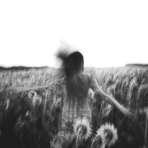 It is you (I have loved)(Inst) - Bách Phan