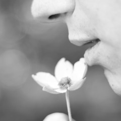 Tigerlily by La Roux