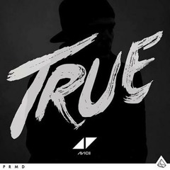 Avicii feat. Dan Reynolds (Imagine Dragons) - Heart Upon My Sleeve (Real Vocal Version) NO EDITING