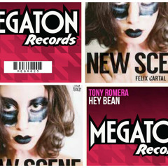 Tony Romera Felix Cartal Hey Bean Vs New Scence (Deorro Remix) (AAA Mashup) HD