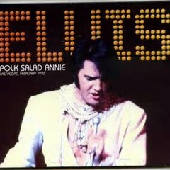 Polk Salad Annie (Remix Remaster)