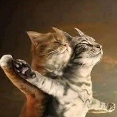 MENGEJAR MATAHARI F2WL2014