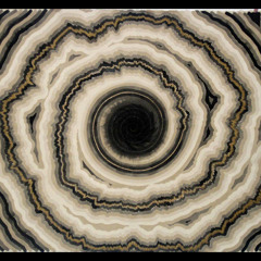 Echo Transmission - Foray #1