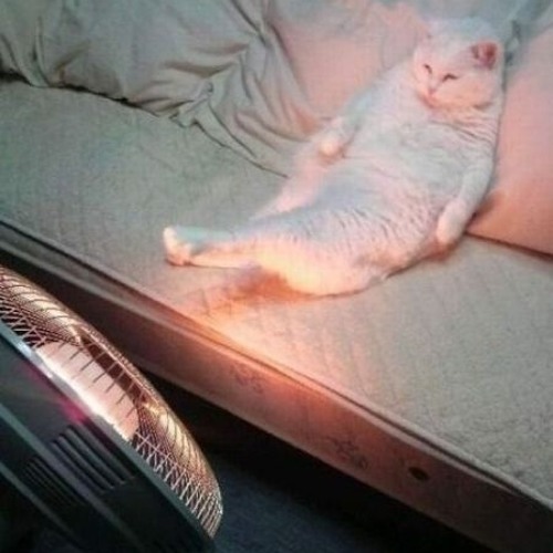 Bommer & Cybertron - Heater In My Lap (Wurm Remix) [2nd drop]