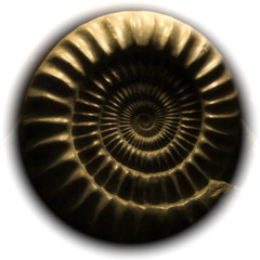 ABSOLUTELY // ªß∫œ¬ü†é¬¥