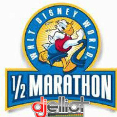 2014 Walt Disney World Half Marathon