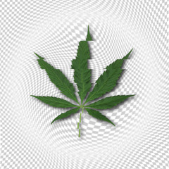 Ganja Mind
