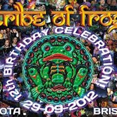 @ Tribe of Frog's 12th Birthday Party