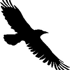Sayeth The Crow