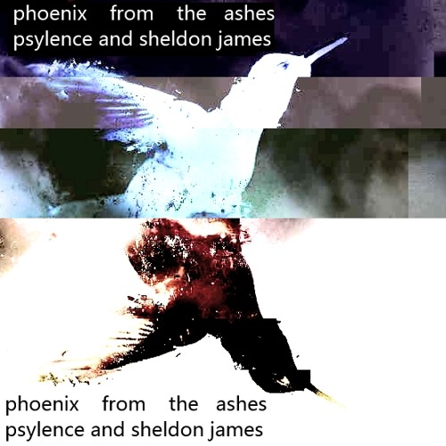 Phoenix from the Ashes