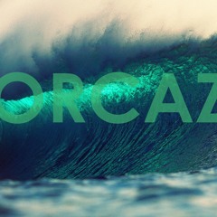 ORCAZ - CRAZY (Original Mix) *free download in description*
