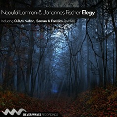 Naoufal Lamrani & Johannes Fischer - Elegy [ Silver Waves Recordings] 'PREVIEW'