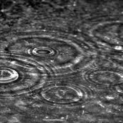 Rain Drops