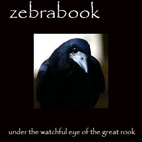 Zebrabook Stream zebrabook - painting the black canvas by ZBM Recordings | Listen ...
