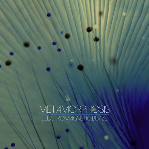 Metamorphosis