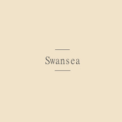 Swansea [Bombay Bicycle Club]